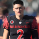 San Diego State punter Matt Araiza plays during an NCAA football game against Utah.